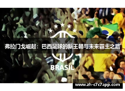 弗拉门戈崛起：巴西足球的新王朝与未来霸主之路